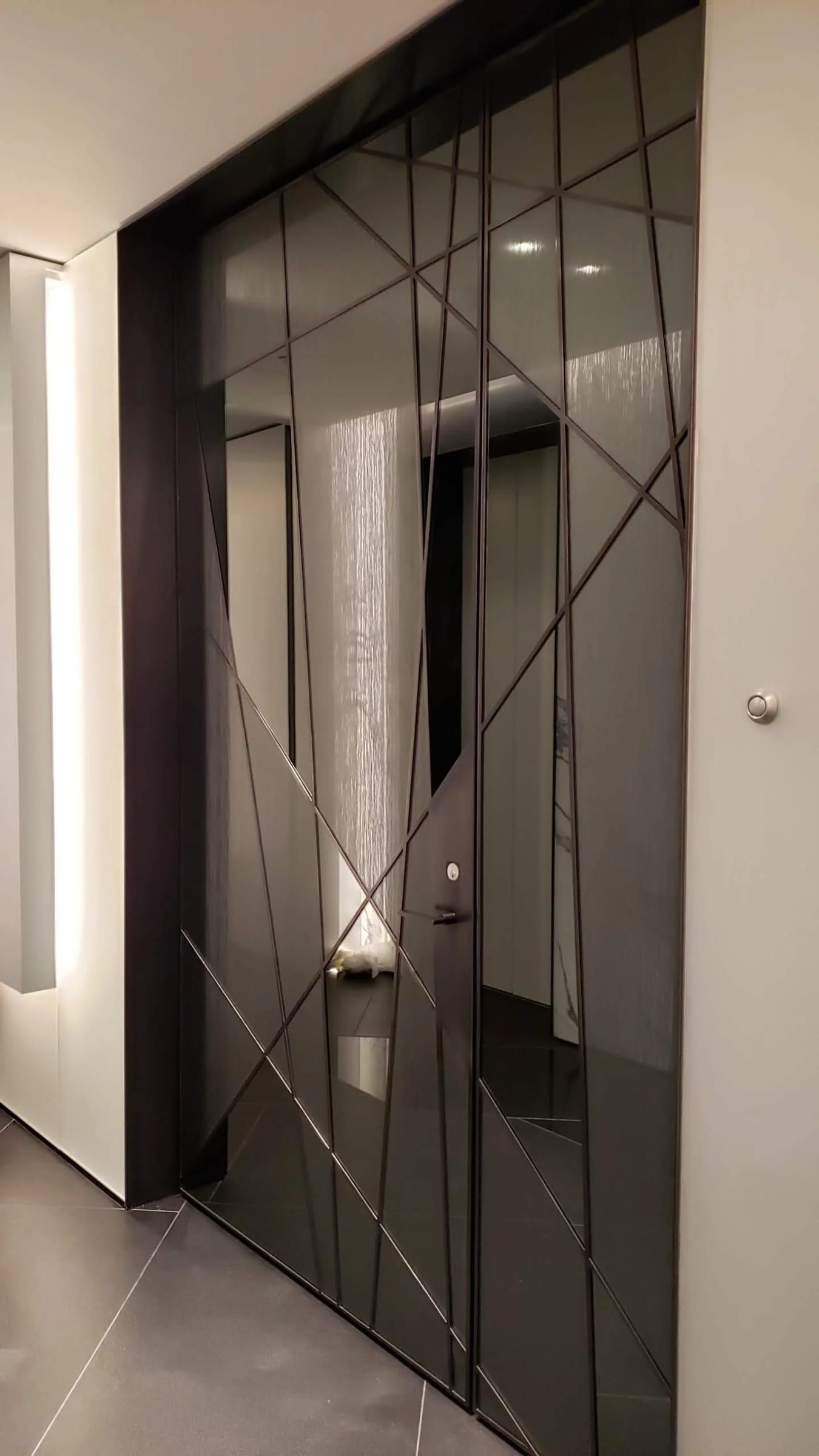 Pivot door with angled blackened stainless mullions